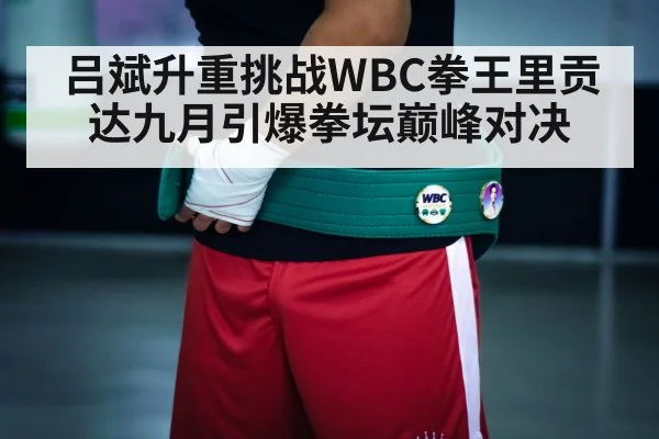 boxing championship belt