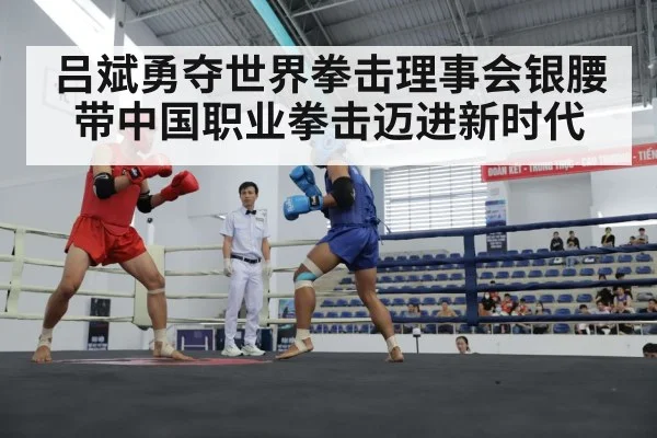 chinese boxer in ring