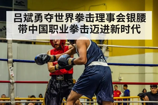 boxing match action