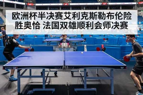 欧洲杯半决赛艾利克斯勒布伦险胜奥恰 法国双雄顺利会师决赛