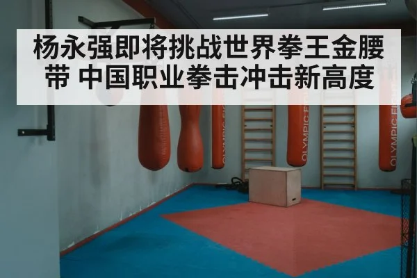杨永强即将挑战世界拳王金腰带 中国职业拳击冲击新高度