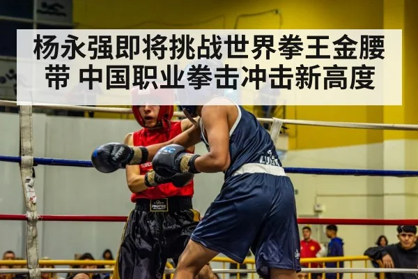 boxing match ring