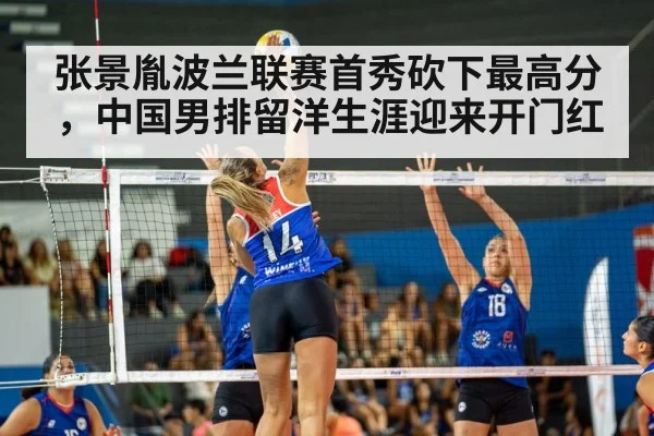 volleyball match